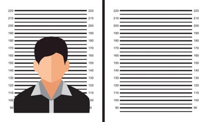 Understanding Wake County Mugshots: A Comprehensive Guide