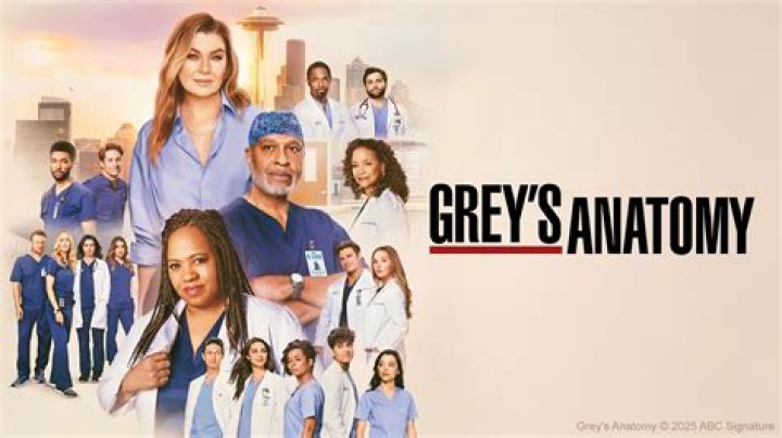 Unraveling the Intricacies of Riggs in Grey's Anatomy