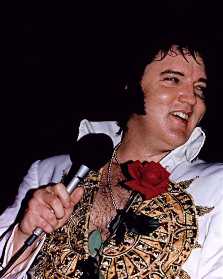Untangling the Riches of Elvis: A Deep Dive into His Net Worth