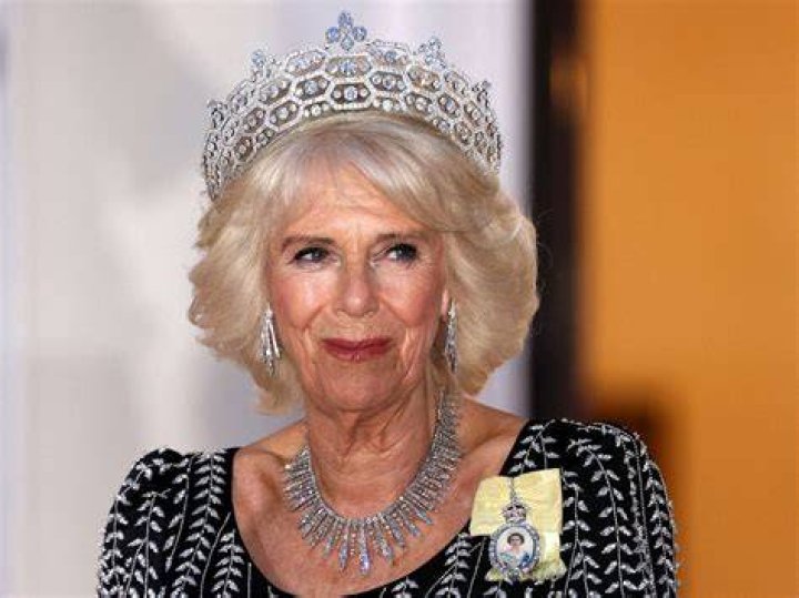 Unveiling Camilla Leaks: The Intriguing Story Behind the Scandal