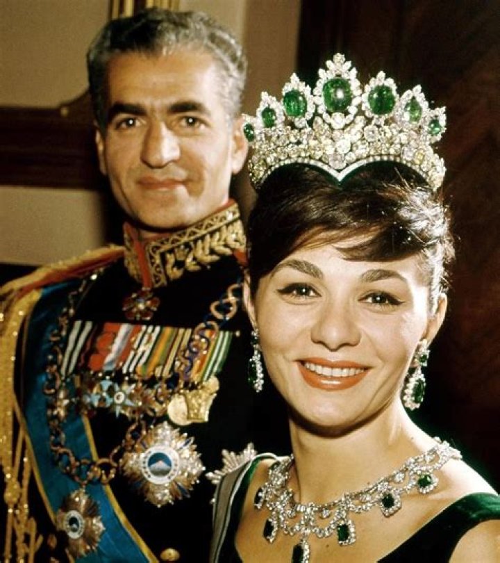 Unveiling the Life and Career of Reza Jarrahy: A Comprehensive Biography