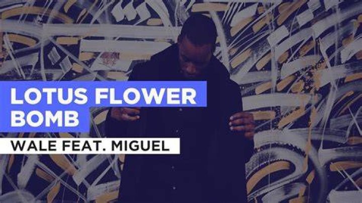 Wale Lotus Flower Bomb: The Impact of a Cultural Phenomenon