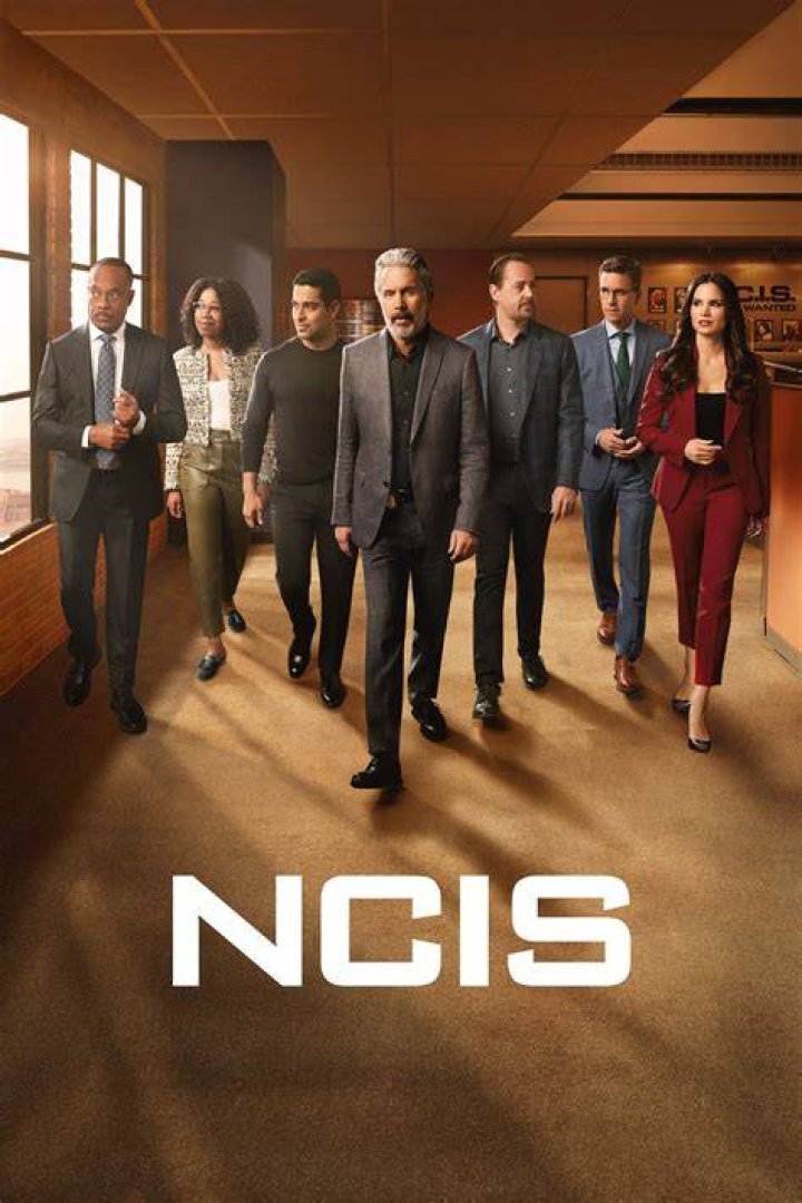 Was Henrietta Lange's Departure From NCIS: Los Angeles a Done Deal?