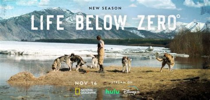 What Happened to Andy on Life Below Zero?