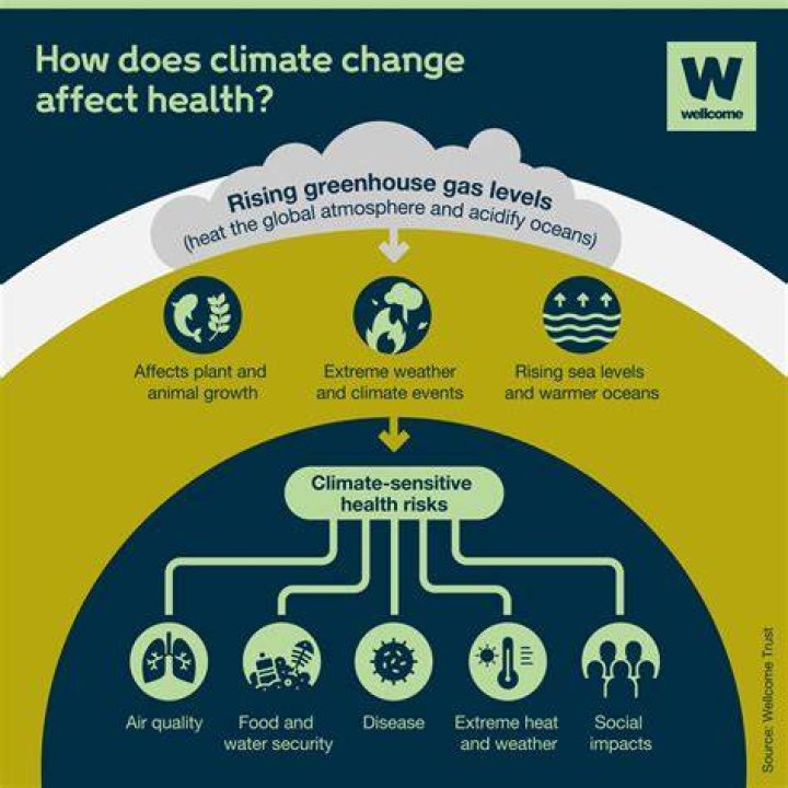 Yes AG: Understanding the Impact of Yes AG in the Modern Business Landscape